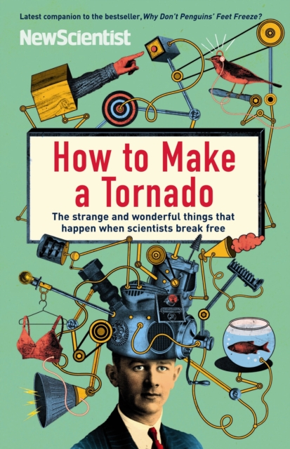 How to Make a Tornado : The strange and wonderful things that happen when scientists break free - 9781846682872