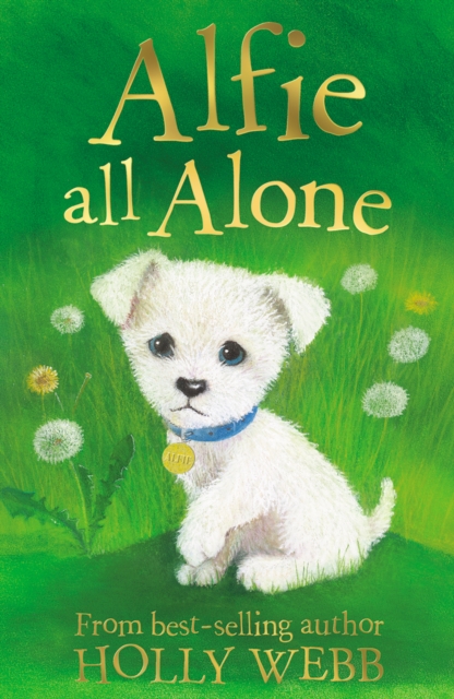 Alfie All Alone - 9781847150158