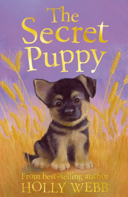 The Secret Puppy - 9781847152336