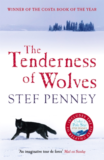 The Tenderness of Wolves - 9781847240675