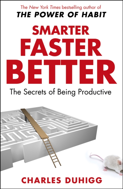 Smarter Faster Better : The Secrets of Being Productive - 9781847947437