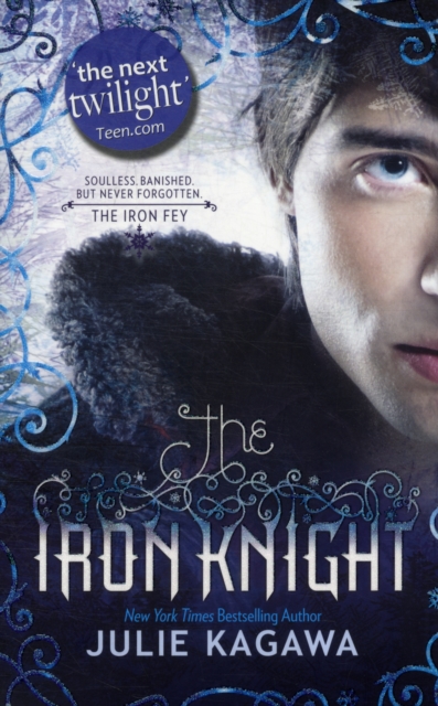 The Iron Knight : Book 4 - 9781848450608