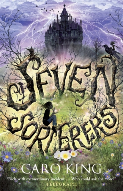 Seven Sorcerers - 9781849161558