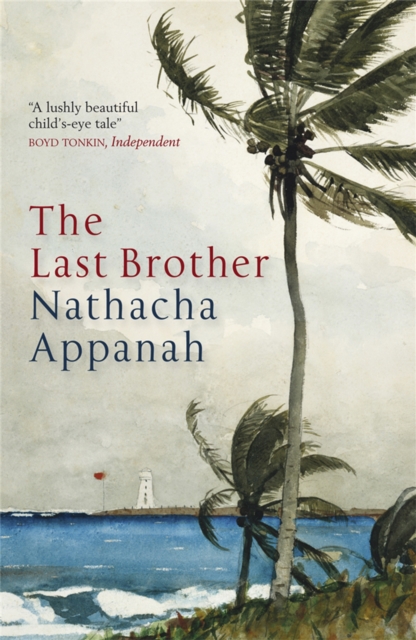 The Last Brother - 9781849164016
