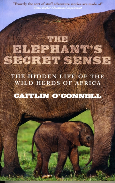 The Elephant's Secret Sense : The Hidden Life of the Wild Herds of Africa - 9781851686438