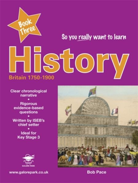 So You Really Want to Learn History Book 3 : Book three - 9781905735365