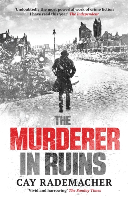 The Murderer in Ruins - 9781910050484