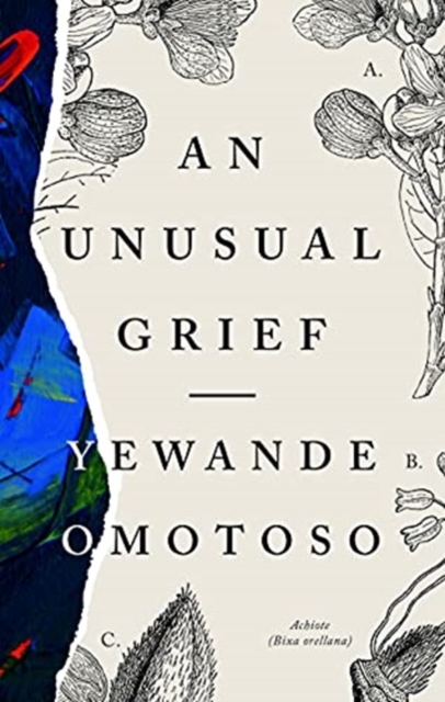 An Unusual Grief - 9781913175139