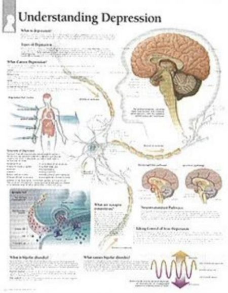 Understanding Depression Paper Poster - 9781932922172