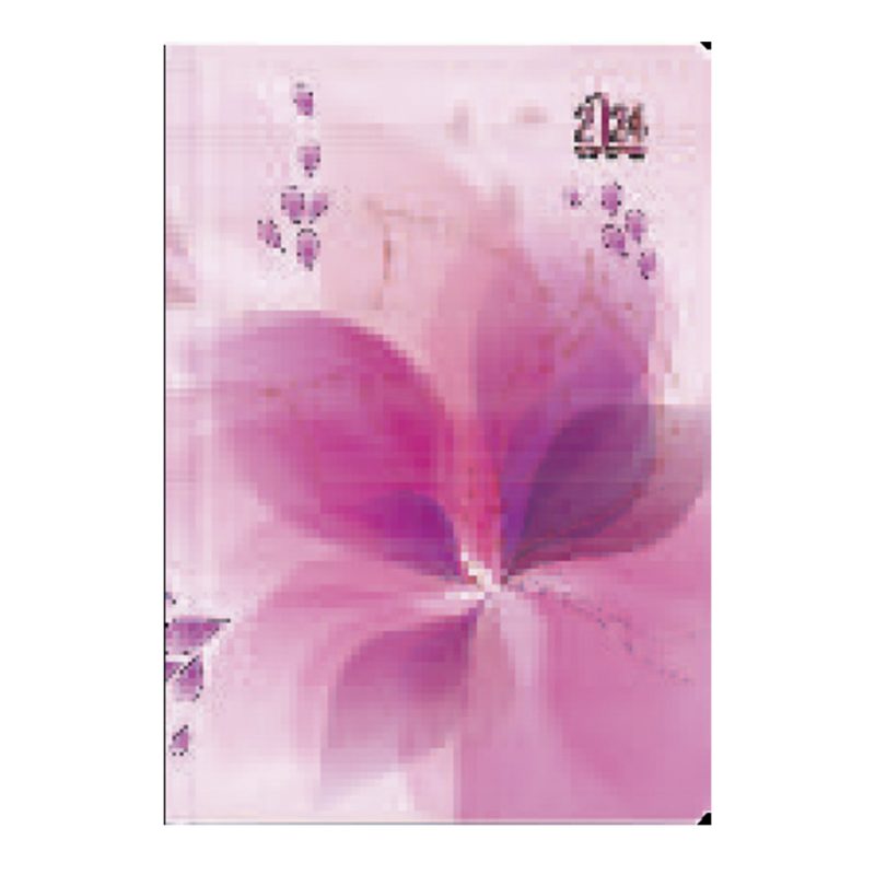 A4 DTV DIARIES ART COVER STANDARD - Image 2