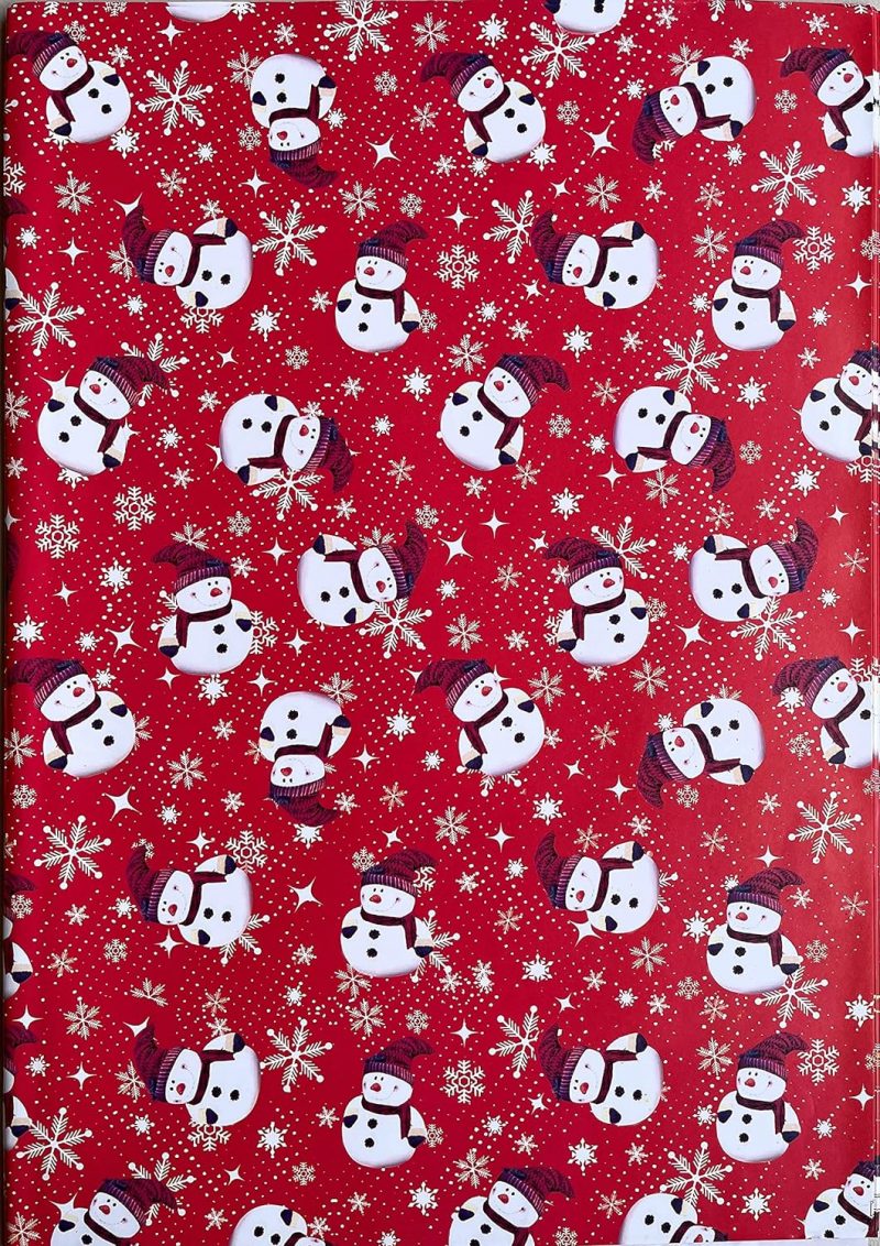 ASSORTED MATT PAPER TYPE WRAPPING PAPER 50X70CM - Image 7
